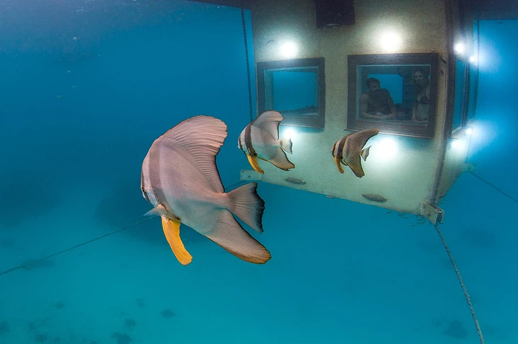 manta resort